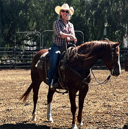 Horsemanship lessons