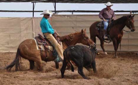 Courtney Meitz Training